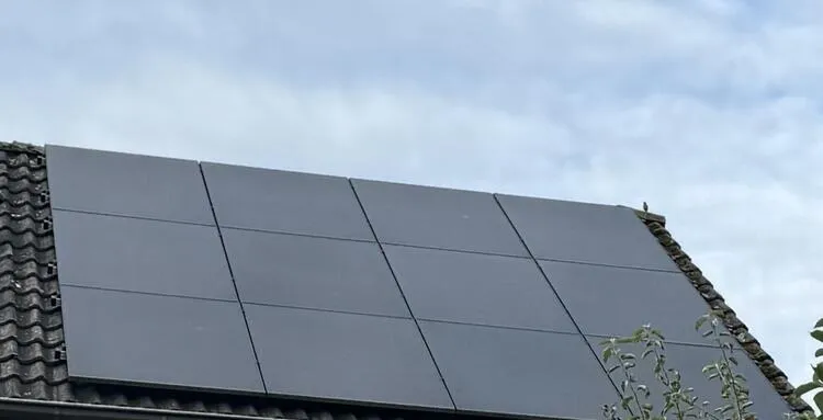 Bedrijfslogo De Sunny Boys B.V.