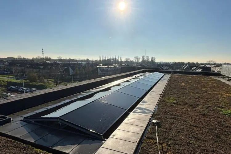 Bedrijfslogo NewSolar B.V.