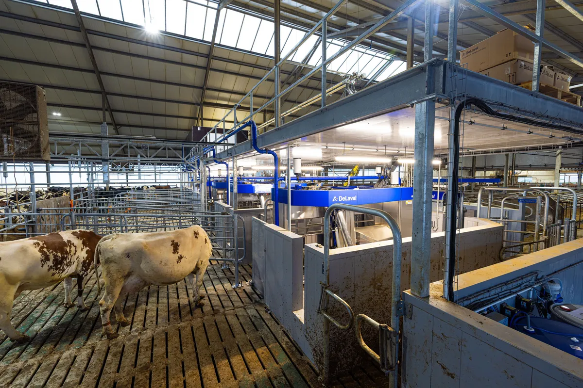 Bedrijfslogo Van Der Sluis Woningbouw B.V.