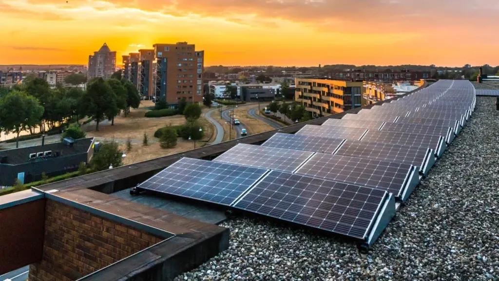 Bedrijfslogo 12MNDN Projecten