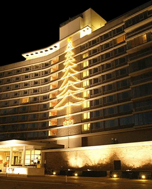 Bedrijfslogo Doorenbos Feestverlichting B.V.