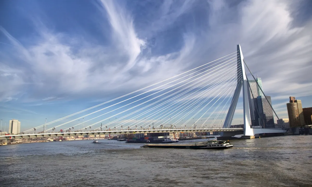 Bedrijfslogo Dutch Electric B.V.