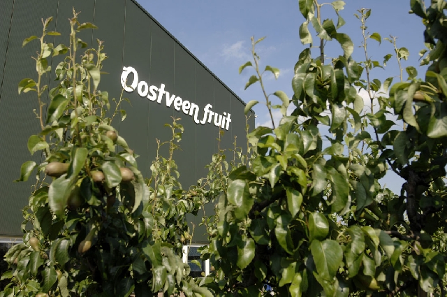 Bedrijfslogo Oostveen Elektrotechniek